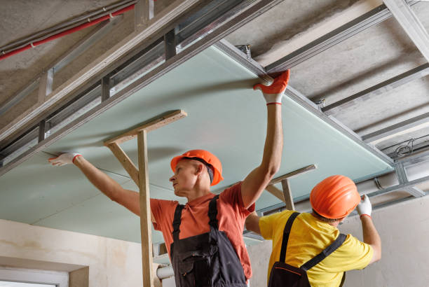 Top 5 Reasons To Hire a Drywall Contractor in St Petersburg FL