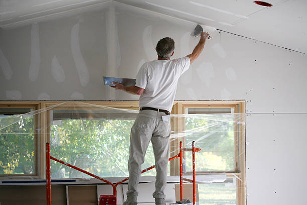 Prime Your Drywalls professionally!