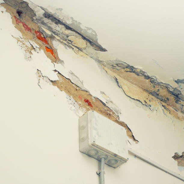 water damage drywall repair